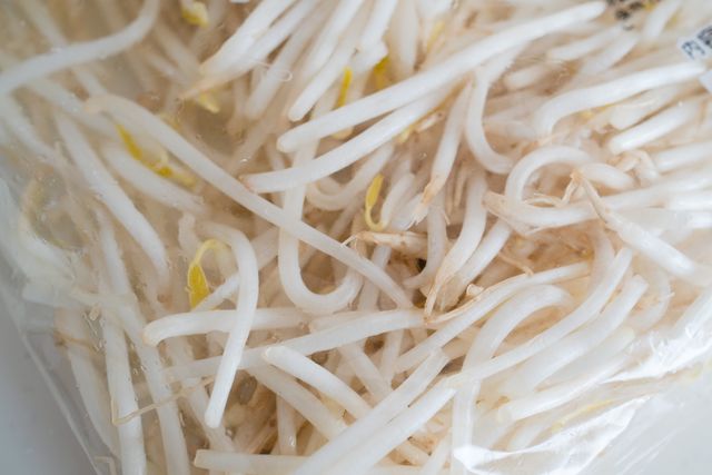 もやし