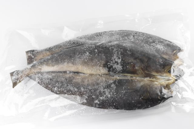 冷凍保存した魚