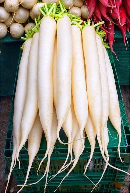 大根