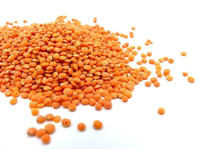 レンズ豆